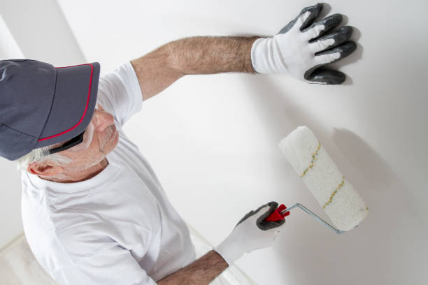 Asbestos and Lead Testing During Mold Inspection in West Wendover, NV
