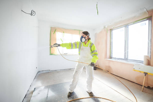 Reliable West Wendover, NV Mold Removal Solutions