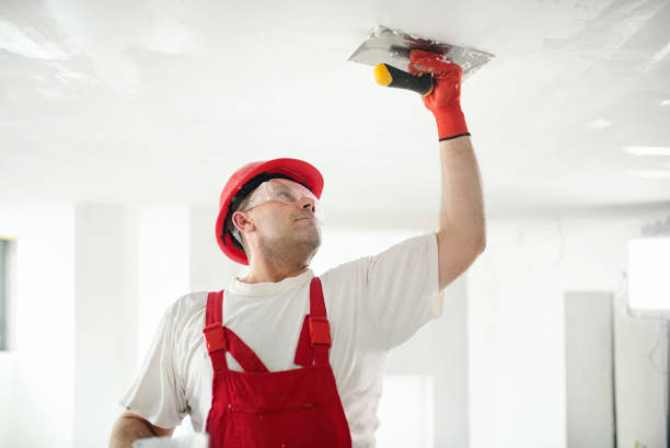 Best Post-Construction Mold Inspection  in West Wendover, NV