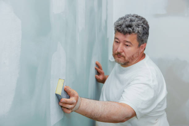 Best Air Quality Testing for Mold Spores  in West Wendover, NV