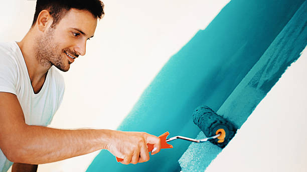 Best Residential Mold Inspection & Testing  in West Wendover, NV