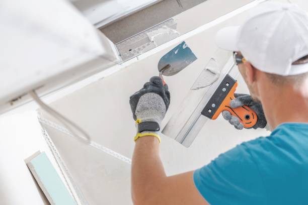 Best Airborne Mold Testing  in West Wendover, NV